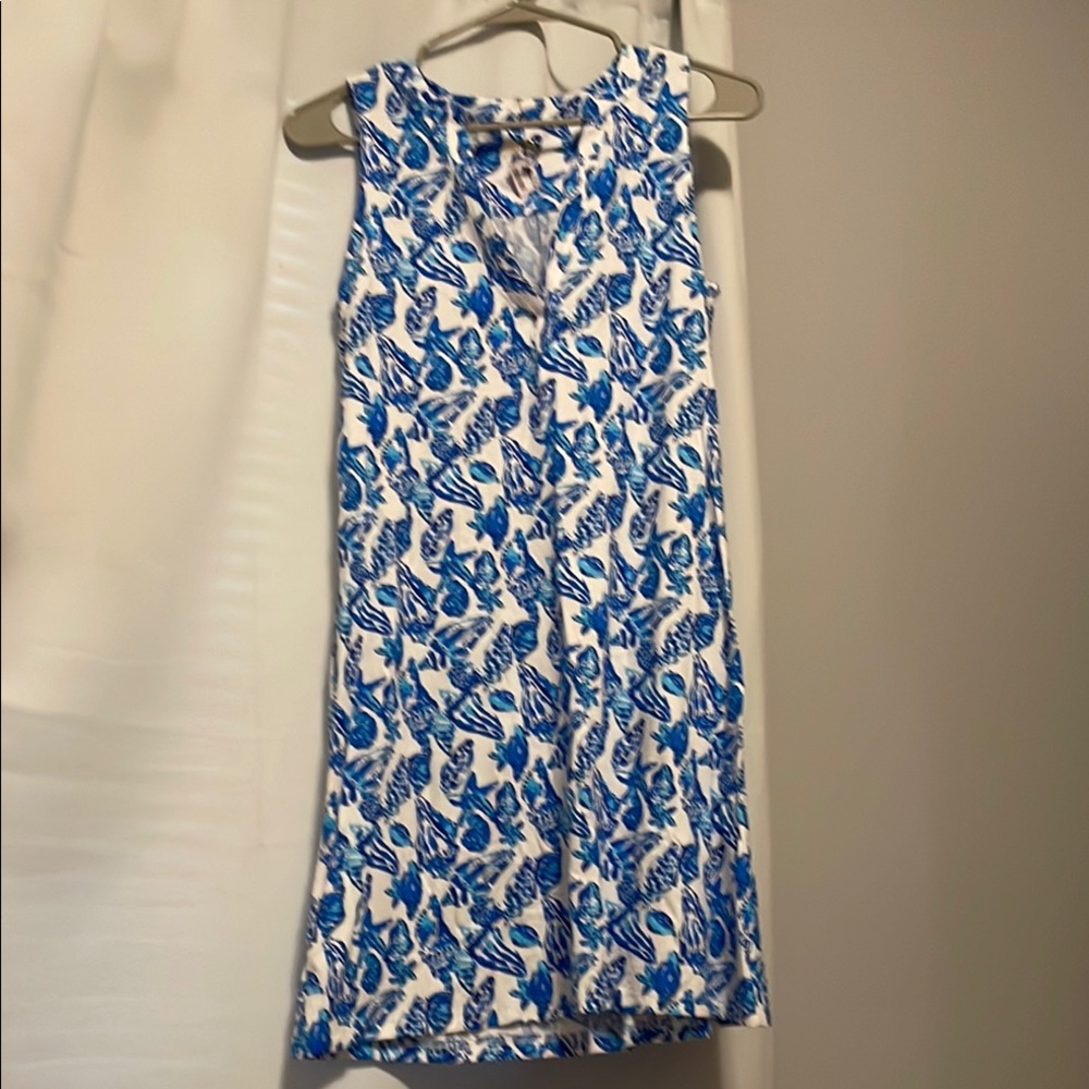 Lilly Pulitzer Blue and White V-Neck Mini Sundress